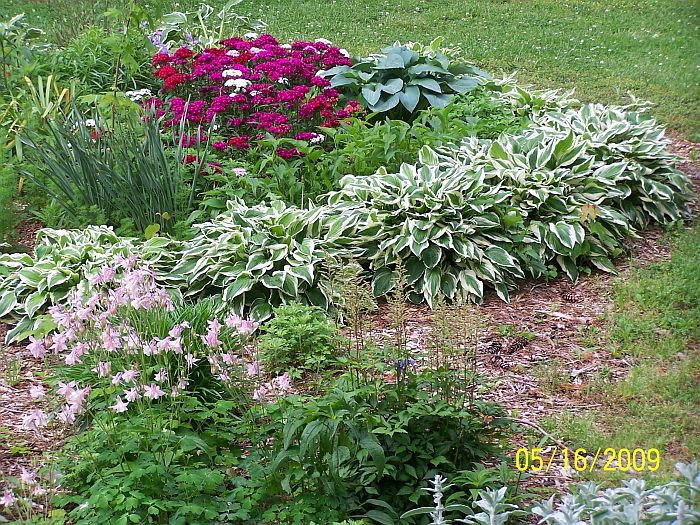 Garden 1