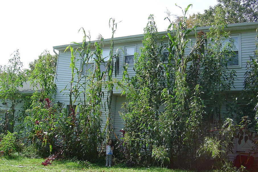 Giant Vegetable Garden