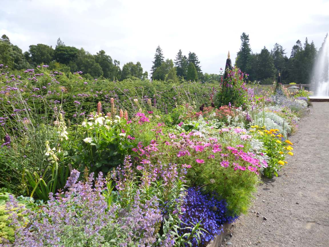 herbac_border_1