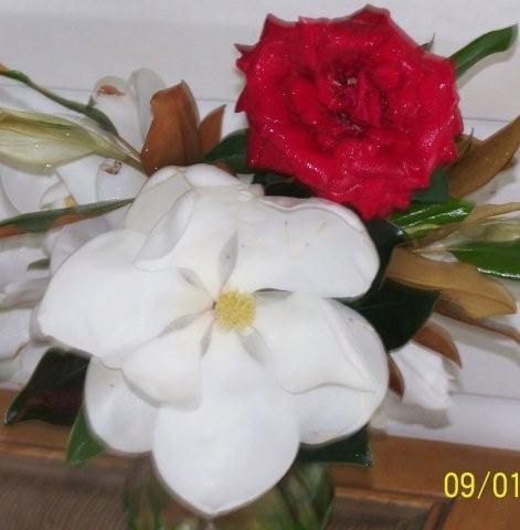 MagnoliaandRose004