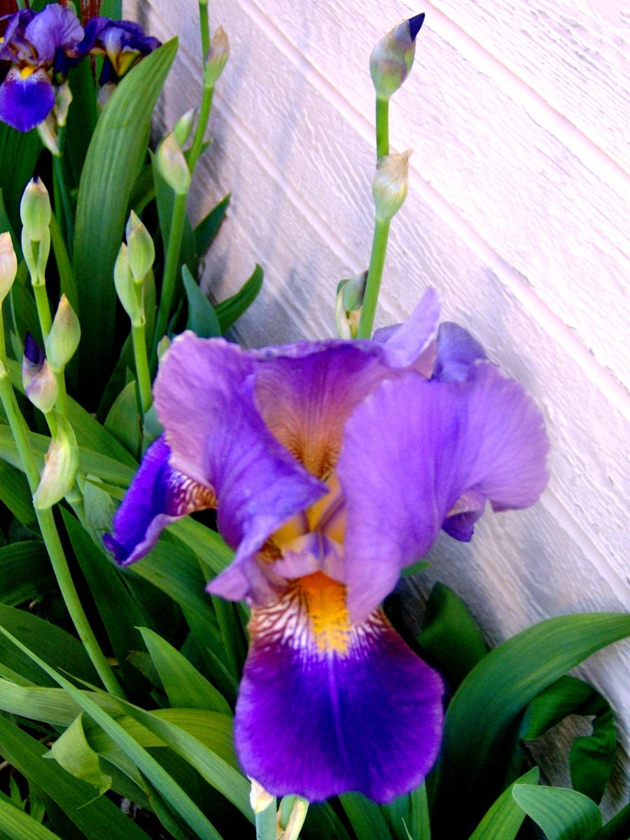 May 15 09 007
