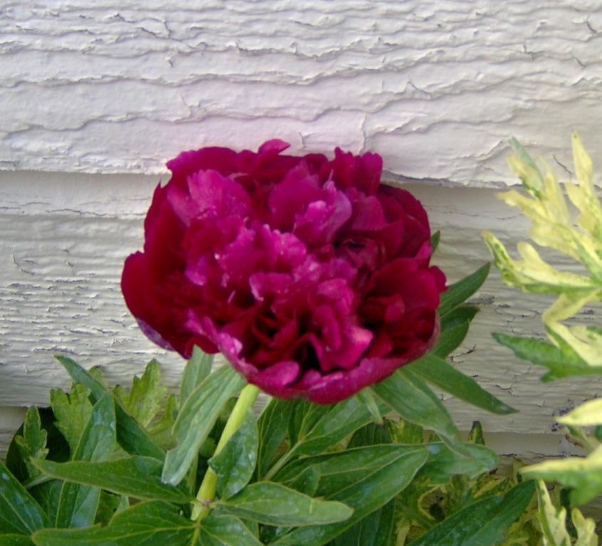 May 19 09 003