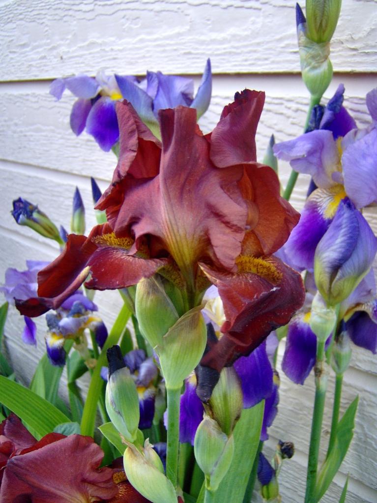 May 19 09 010