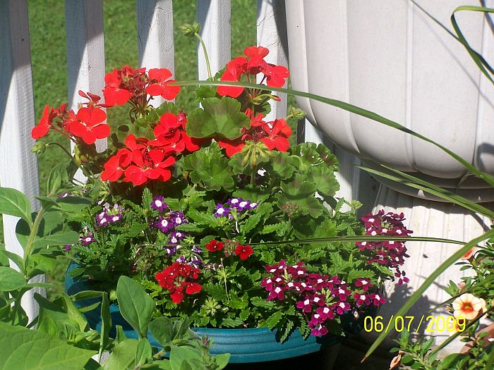 Mixed pot 1