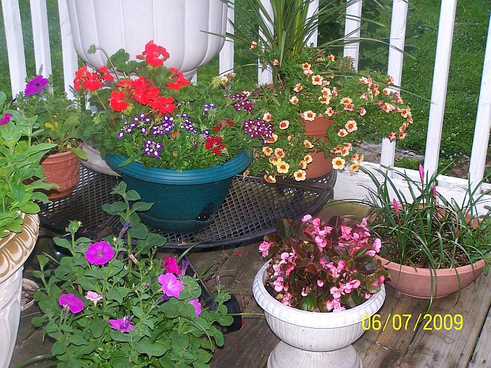 Mixed pots 1