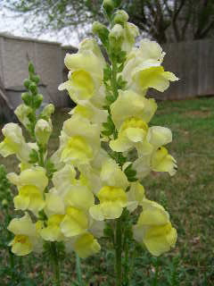 P3070010