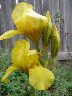 P3070011