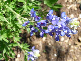 P3180022