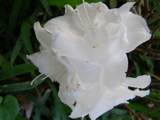 P3180026