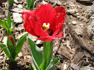 P3180027