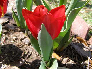 P3180029