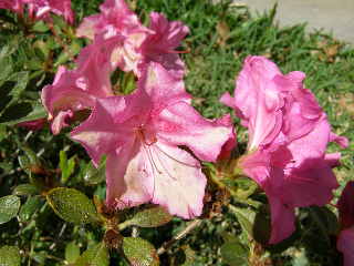 P3180033