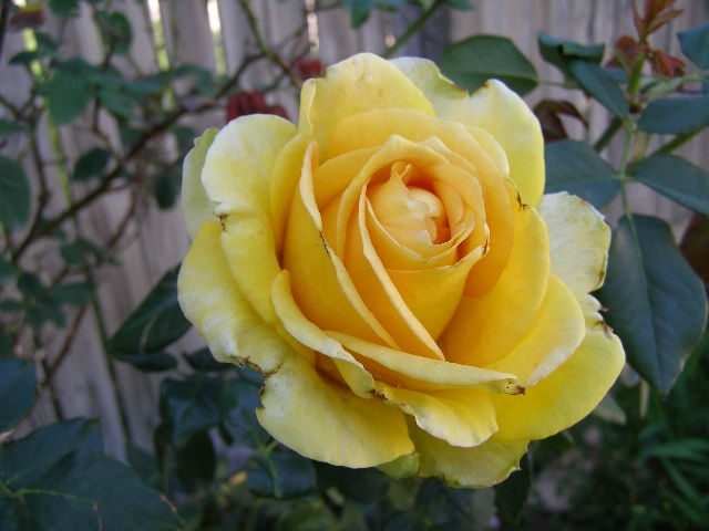 P4110035