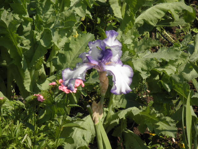 P6021569