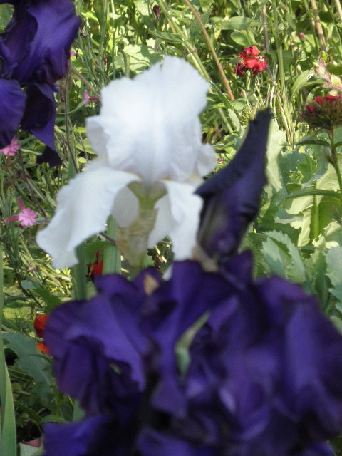 P6021570