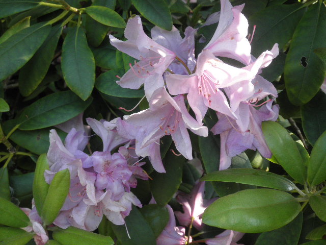 P6021601