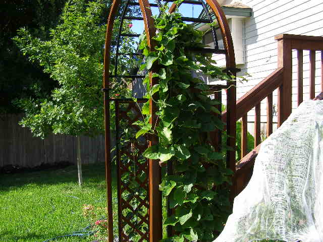 P7140021