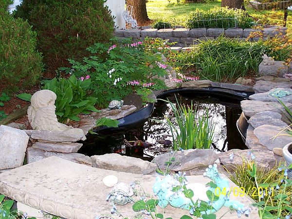 Pond 1