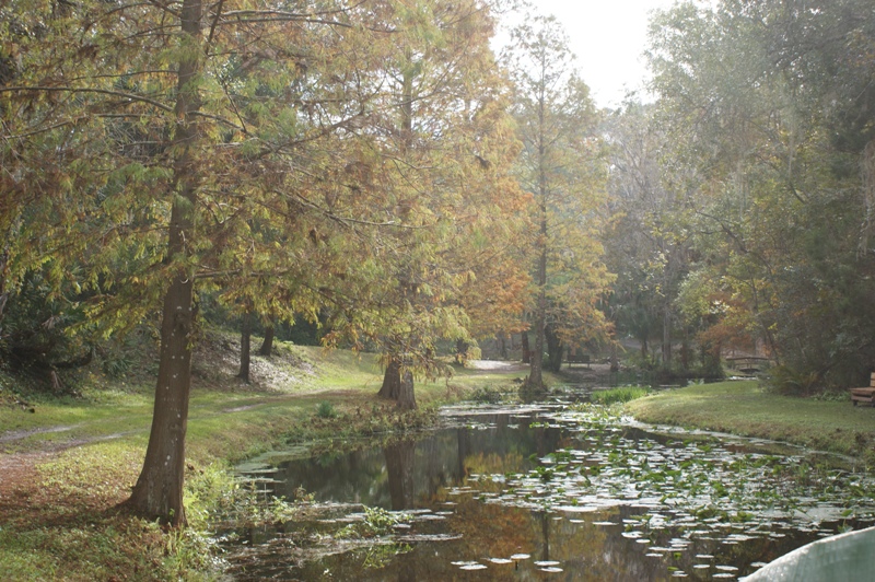 Ravine Gardens Spring Run