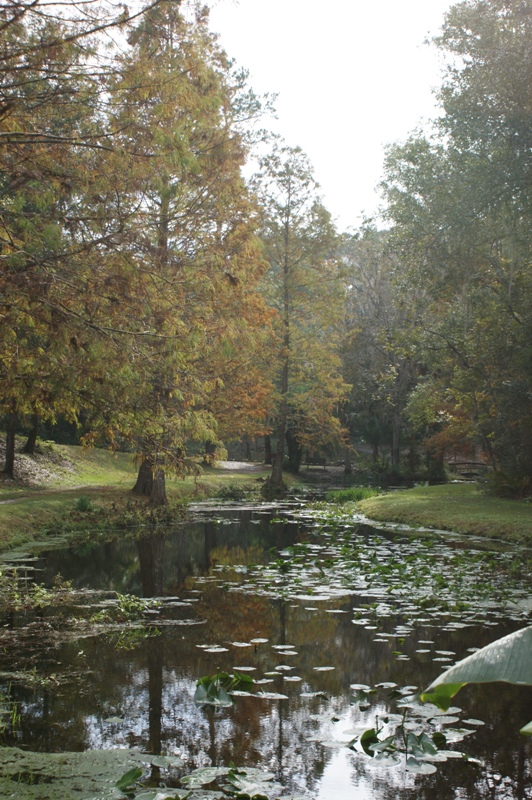 Ravine Gardens State Park Fall 09