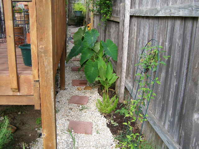 side yard