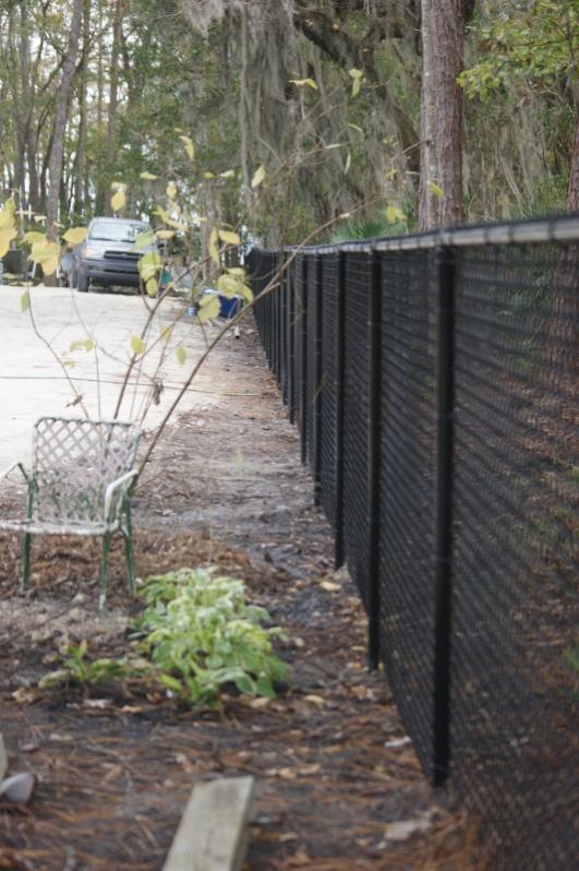 south fence line (532x800)