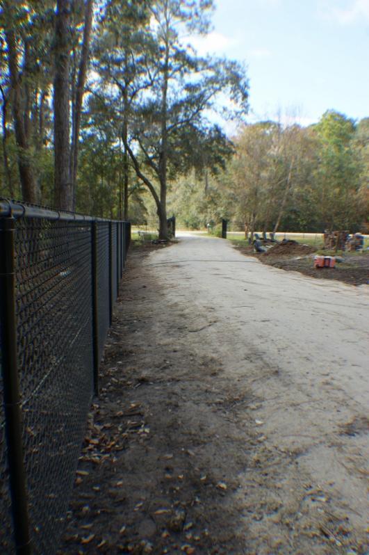south fence looking west (532x800)