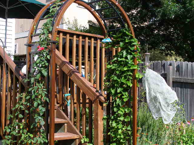 The blase on the arbor
