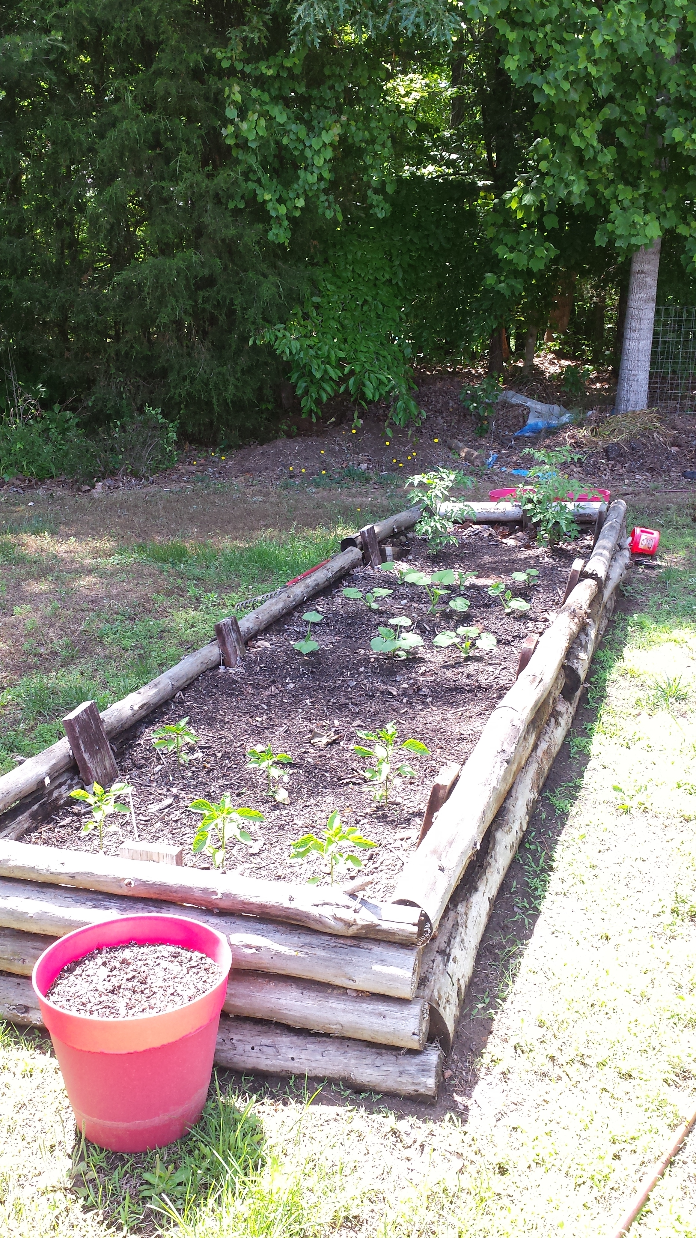 Vegtable garden