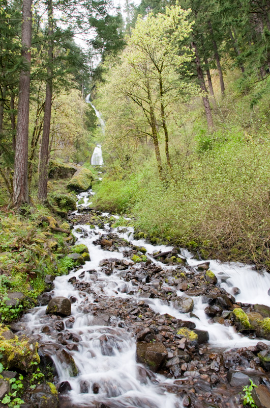 Wahkeenah Falls