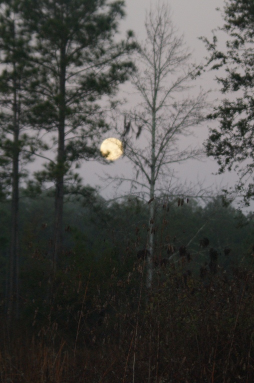 Winter Moon Set