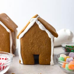 gingerbreadhouses-250x250.jpg