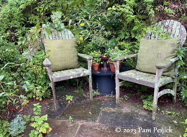 09_Chairs_w_lichen.jpg