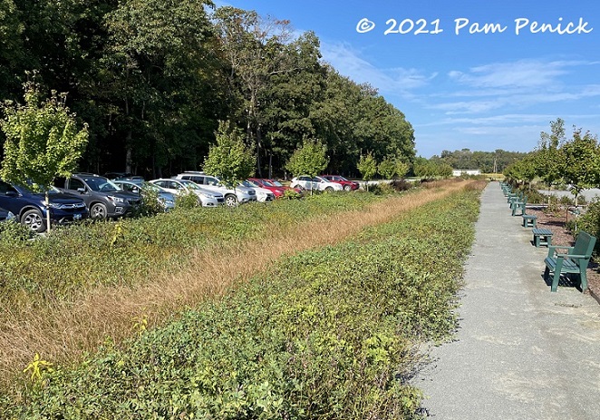 63_Stormwater_management_garden.jpg