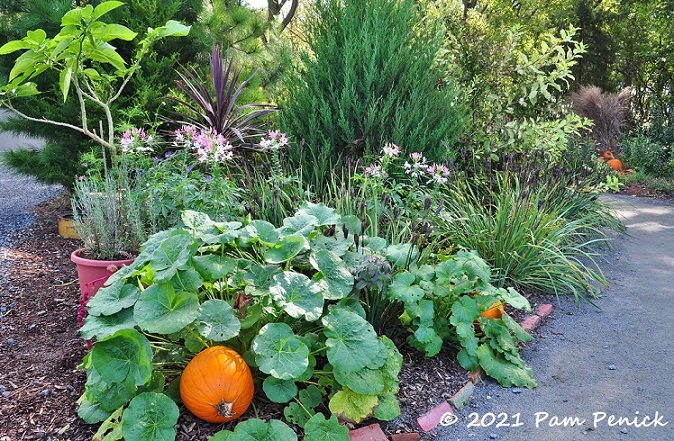 41_Folly_Garden_w_pumpkin.jpg