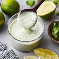 cilantro_lime_sauce-250x250.jpg