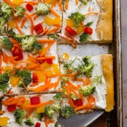 veggie_pizza-2-1200x1799-1-250x250.jpg