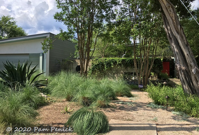 Ornamental_grasses_front_yard_1-1.jpg