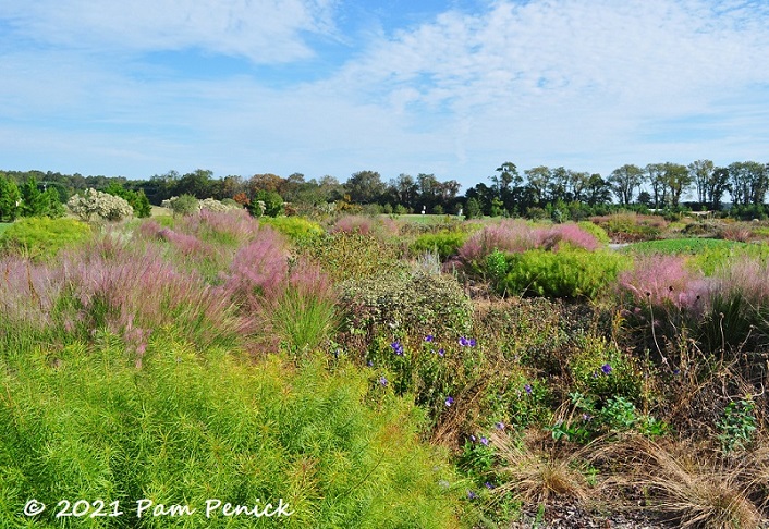 27_Oudolf_meadow.jpg