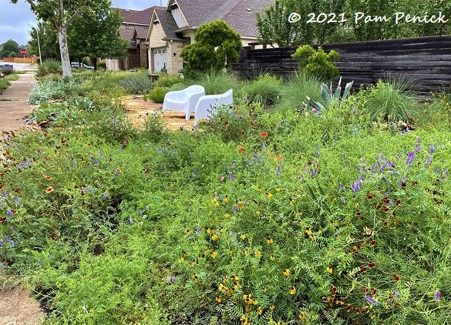 13_Front_garden_wildflowers_Patio.jpg