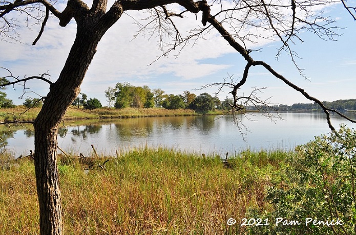 53_The_Point_creek_view.jpg