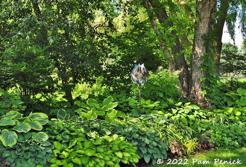 05_Hostas_Kinetic_art.jpg