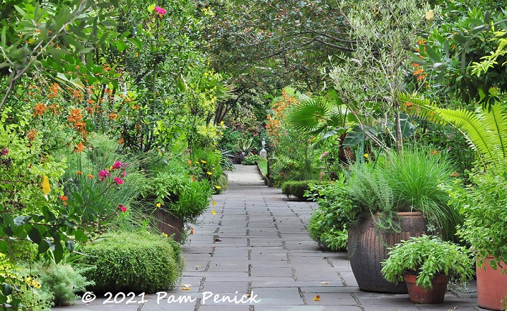 31_House_Garden_path_borders.jpg