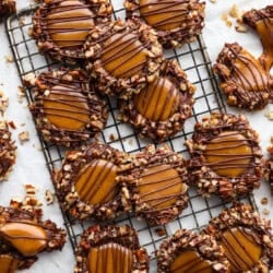 turtle-cookies--250x250.jpg