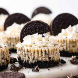 minioreocheesecakes-250x250.jpg