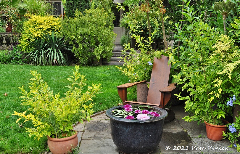 39_Chair_Water_bowl_Golden_garden.jpg