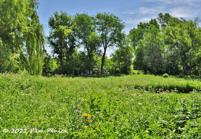 07_Prairie_garden-1.jpg