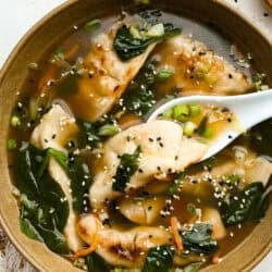 dumpling-soup-1-250x250.jpg