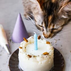 cat-birthday-cake-250x250.jpg