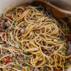 DirtySpaghetti-3-250x250.jpg